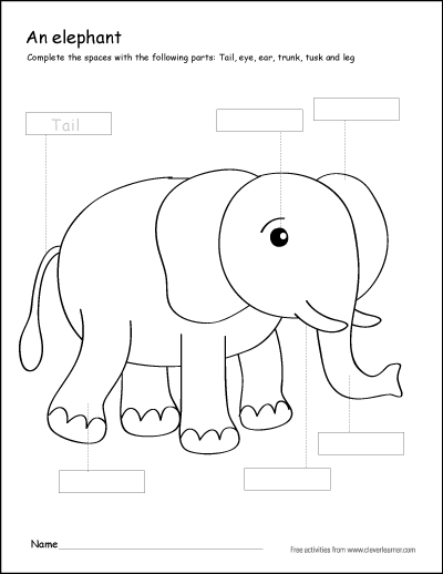 Elephant Worksheets