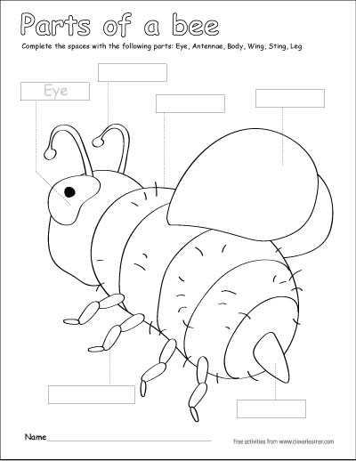 parts of an elephant coloring sheets