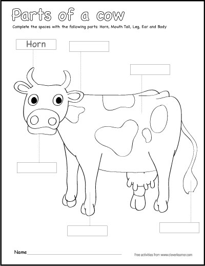 parts of a cow coloring sheets
