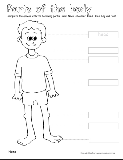 parts of the body coloring sheets