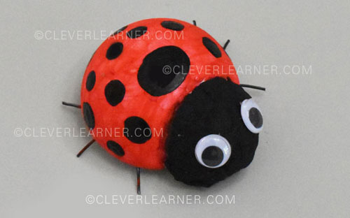 Beautiful ladybird craft for children