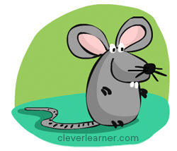 how to draw a mouse for kids step by step