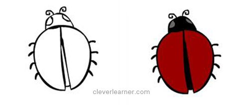 How to draw and colour a ladybird