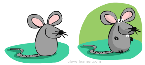 Step by step drawing of a mouse