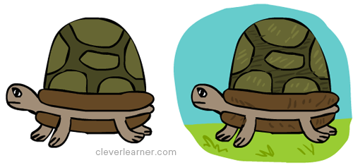 Fun and easy steps to draw a tortoise