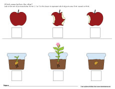 Sequence of Events Free Activities online for kids in Kindergarten