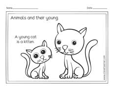 Animals and the names of their young ones worksheets for preschools