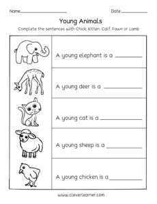 Animals and the names of their young ones worksheets for preschools