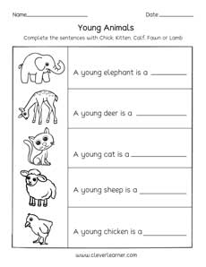 Animals And The Names Of Their Young Ones Worksheets For Preschools