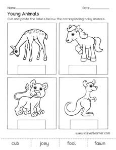 Baby animal names preschool worksheet