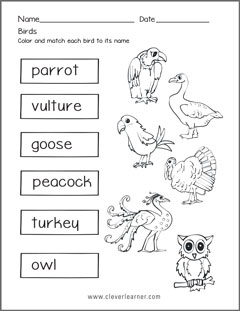 birds and their names preschool worksheets