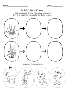 Food chain printables and worksheets for kindergarten and first grade