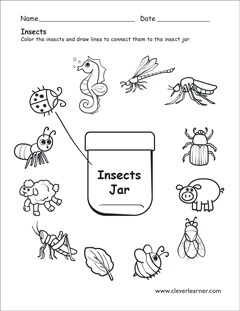 Free Printable Insect Worksheets For Preschoolers Koyumprogram