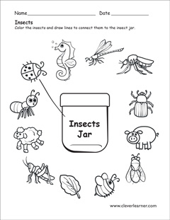 What is an insect worksheets for preschools