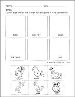Birds Worksheet For Kids - mywallpapers site