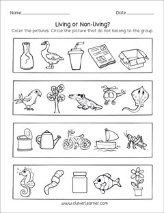 Living and non-living things worksheets for preschools