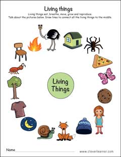 clipart living and non living things activity