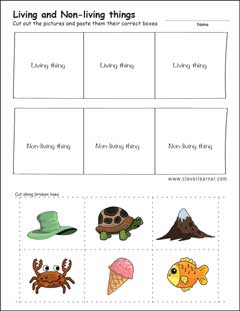 Living and non-living things preschool worksheet