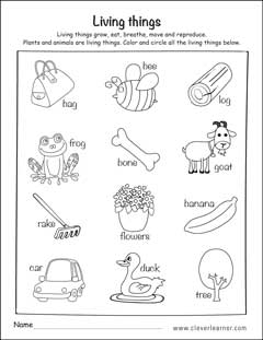 Living and non-living things worksheets for preschools