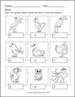 Name the birds preschool worksheets