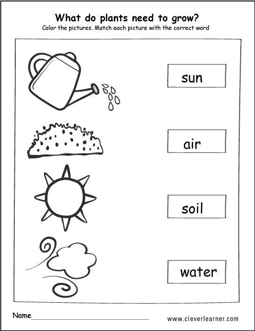 What plants need to grow worksheets for preschools