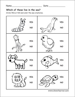 Animals that live in water worksheets for preschools