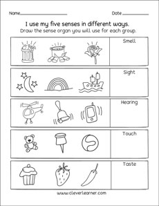 The five senses worksheets for preschools