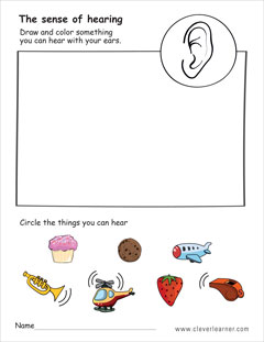 The sense of hearing preschool worksheet