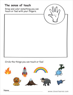 The sense of touch preschool worksheet
