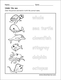 Animals that live in water worksheets for preschools