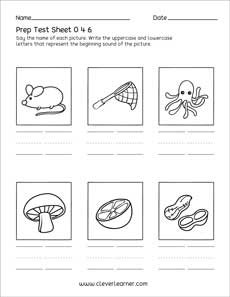 Lowercase and uppercase test activity for homeschool