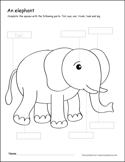 parts of an elephant coloring sheets