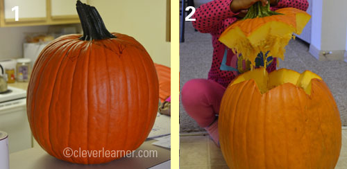 Preparing the pumpkin to carve a jack-o-lantern