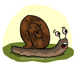 draw a snail