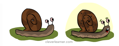 how to draw a snail