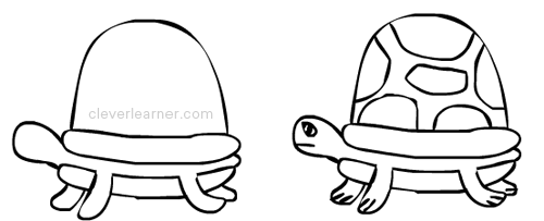 Easy way to draw and colour a tortoise