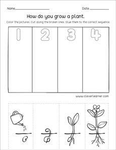Picture sequence worksheets for kindergarten