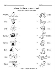 Kindergarten printables on animal homes