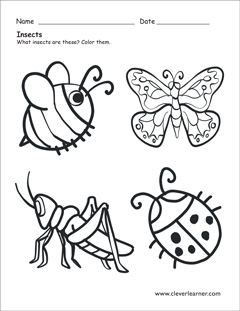 Insect coloring sheet