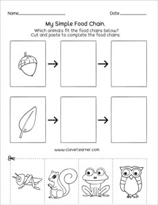 Food chains printables for first grade