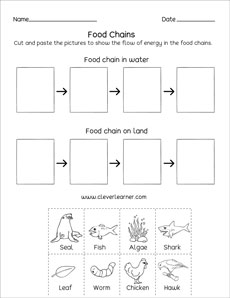 Food chain worksheets for preschool