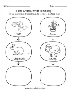 Free foodchain activity sheets for children