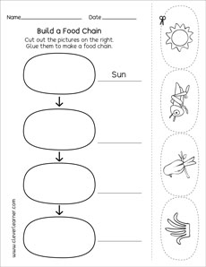 Make a food chain first grade activity sheets