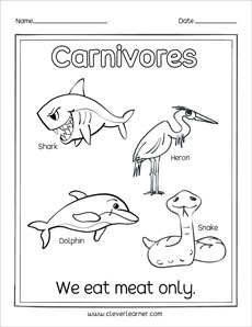 What are herbivores, carnivores and omnivores activity sheets for