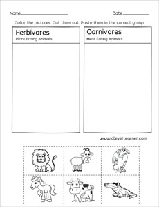 Preschool activity on herbivorous and carnivorous animals