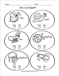 Insect identification for kindergartens