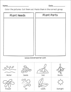 What plants need to grow well preschool printable
