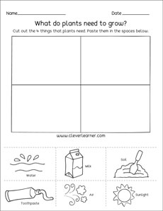 Needs of plants kindergarten printable sheets
