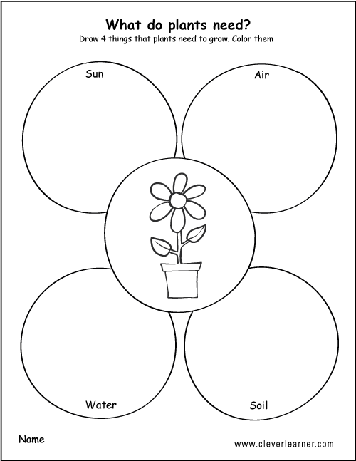 WHat plants need to grow draw and color worksheets