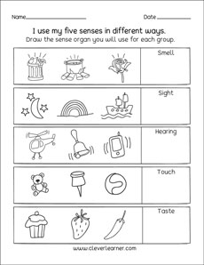 Five senses kindergarten worksheet